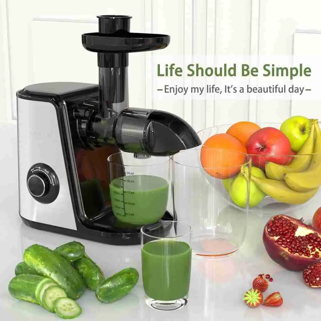 ORFELD Slow Masticating Juicer Extractor Machine for Vegetable and Fruit Carrots, Oranges, and Celery