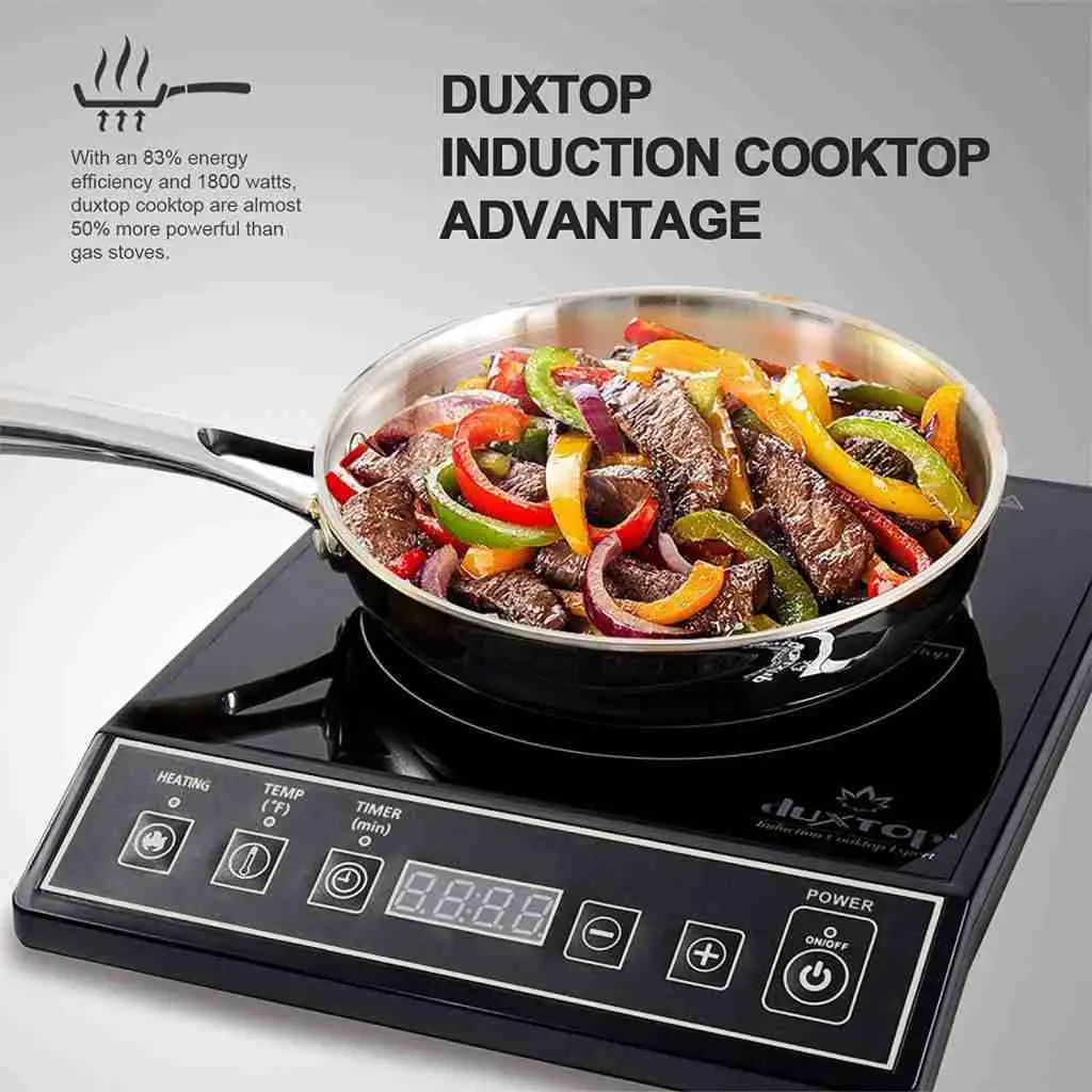 Duxtop Portable Induction cooktop