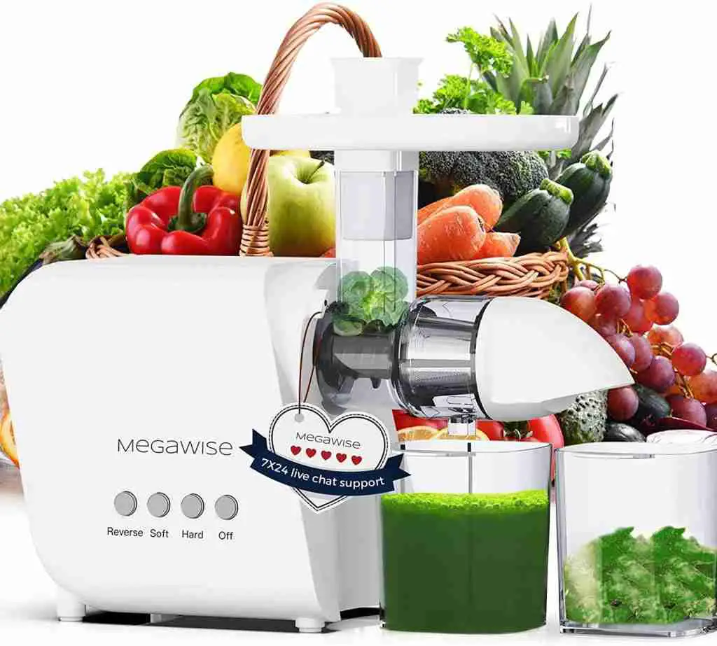masticating juicer for fruits, vegetables, nuts and for home use